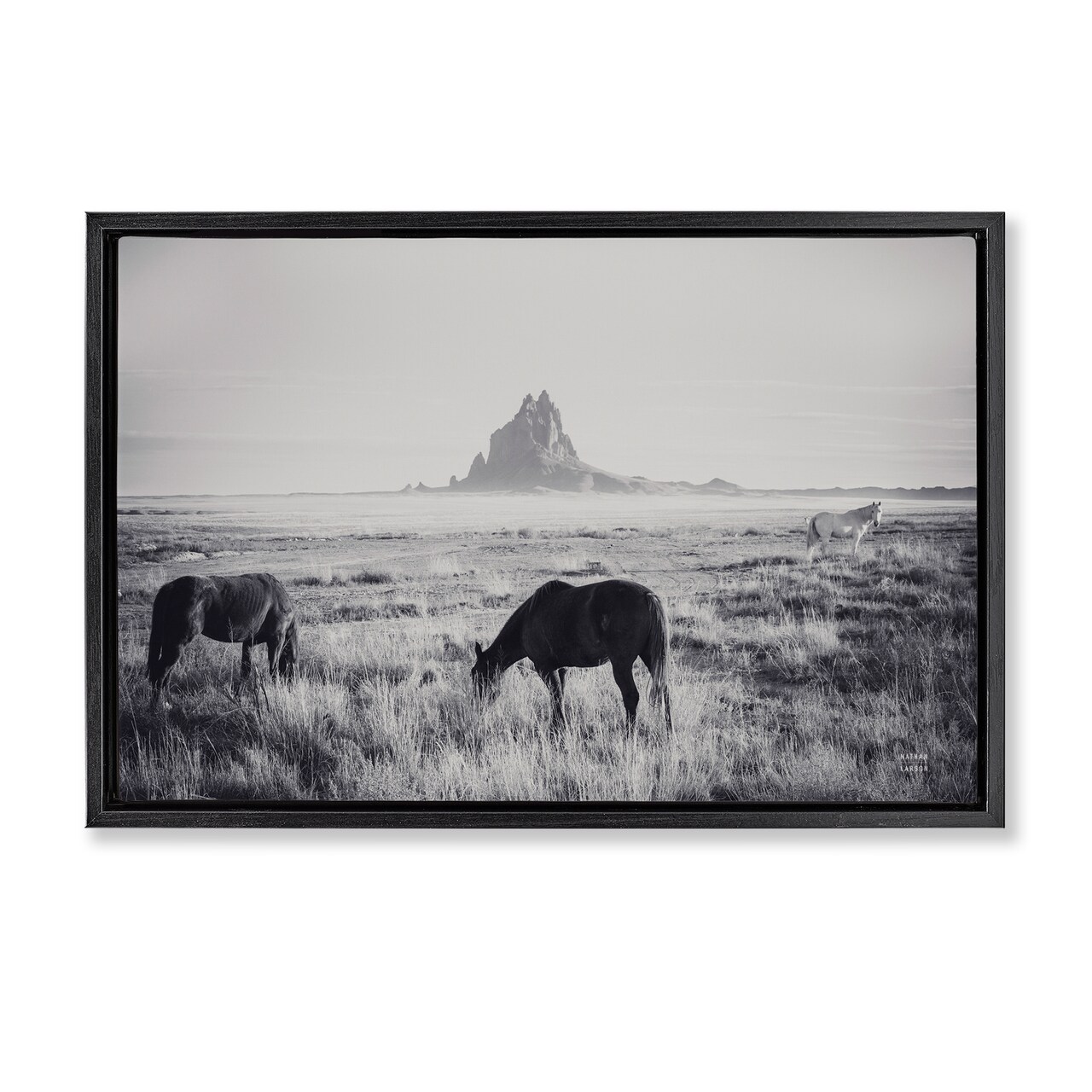 Stupell Industries Western Range with Horses Floating Frame By Nathan Larson